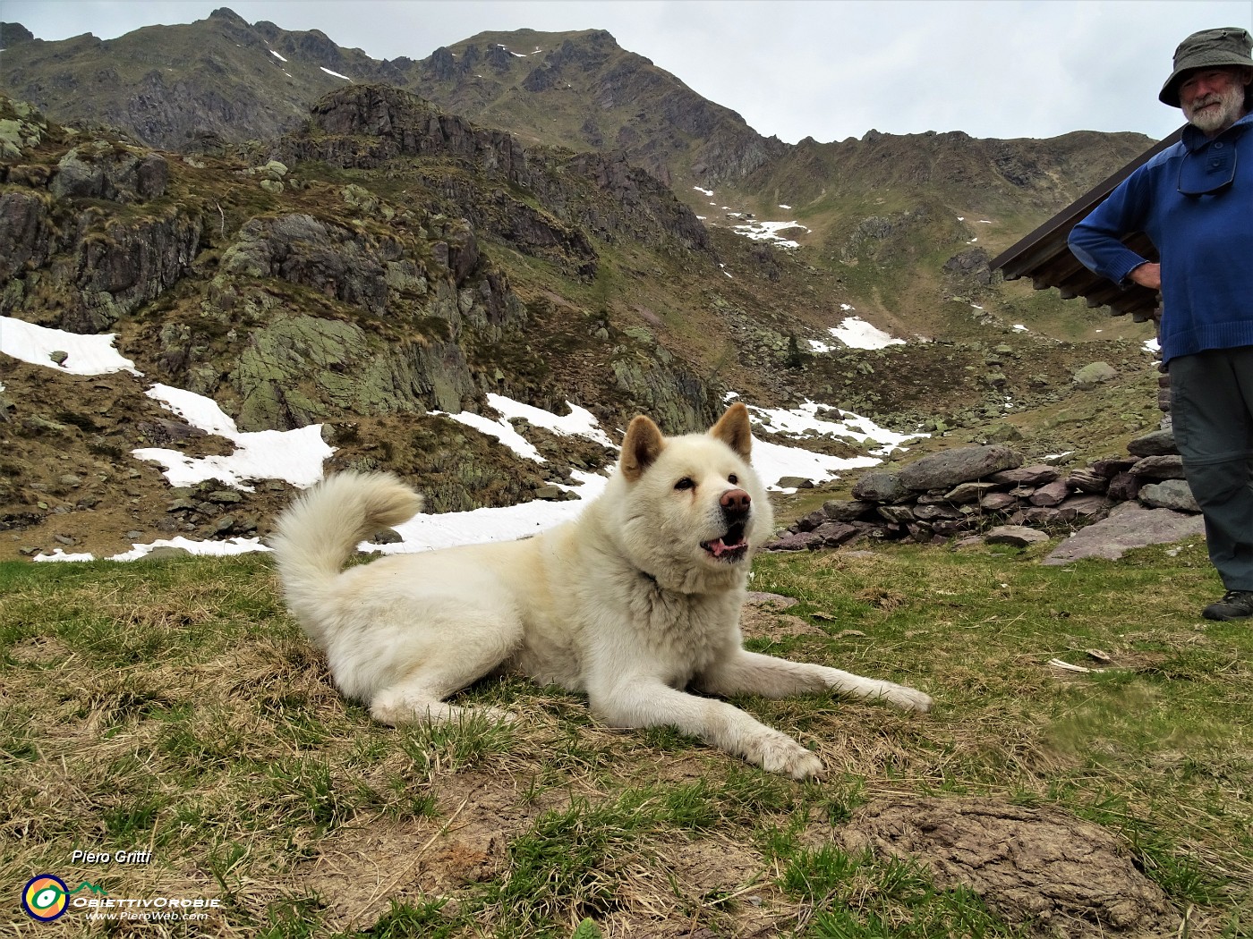 63 Incontro col bel cane Shira.JPG